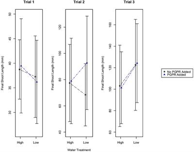 Variable Influences of Water Availability and Rhizobacteria on the Growth of Schizachyrium scoparium (Little Bluestem) at Different Ages